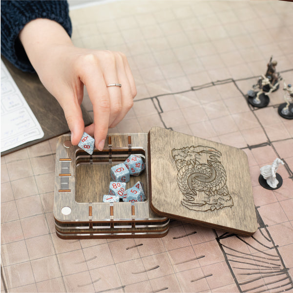 Dungeons and Dragons dice storage case